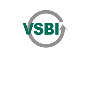 Logo des VSBI, Partner des Robotron Bildungszentrums